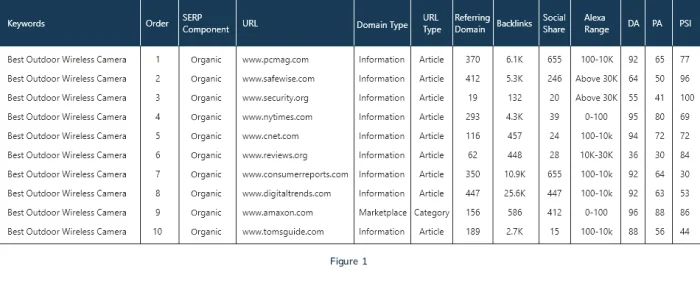 SERP Competitors for Competitive Insights